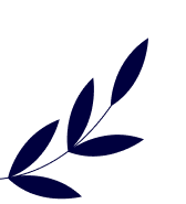 Dr. Trudy Almeida Psychiatry Services